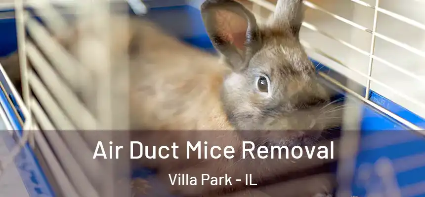 Air Duct Mice Removal Villa Park - IL
