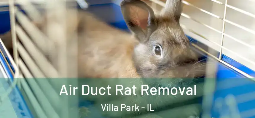 Air Duct Rat Removal Villa Park - IL