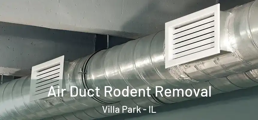  Air Duct Rodent Removal Villa Park - IL