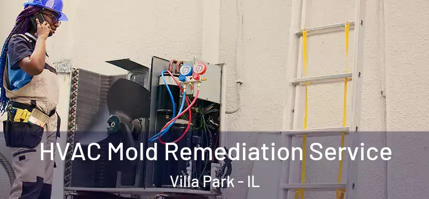 HVAC Mold Remediation Service Villa Park - IL