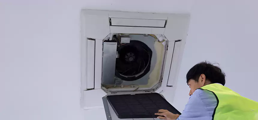 Our Dryer Vent Sanitization Service Services in Villa Park, IL