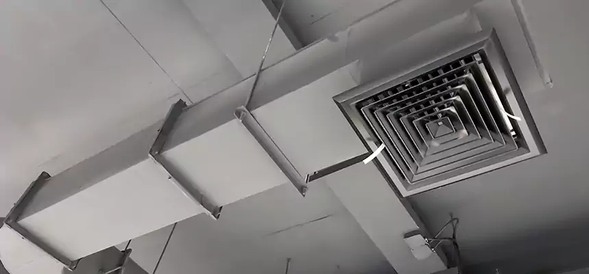 Our Pest Removal From Ducts Services in Villa Park, IL