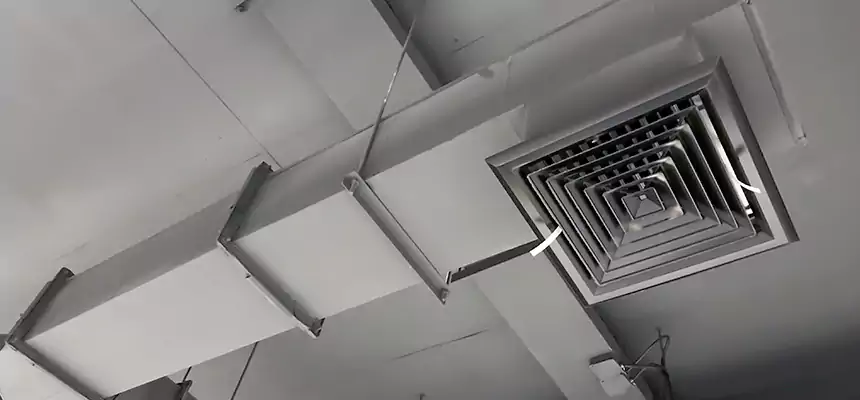 Our Rodent Droppings In Vents Services in Villa Park, IL