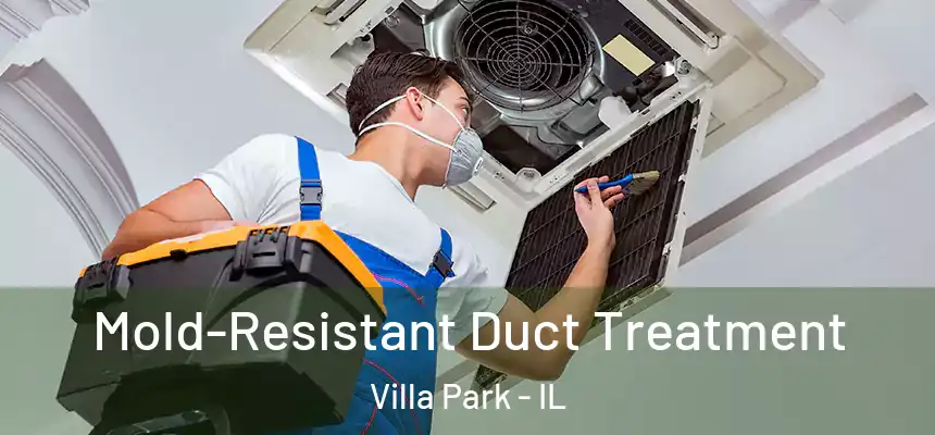 Mold-Resistant Duct Treatment Villa Park - IL