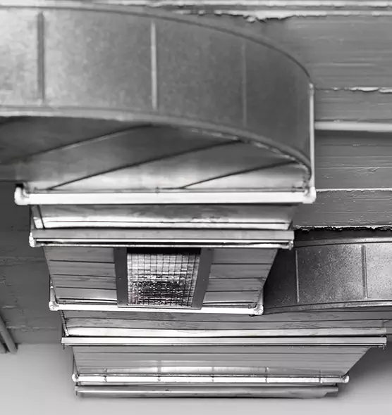 Professional Air Duct Pet Hair Removal in Villa Park, IL