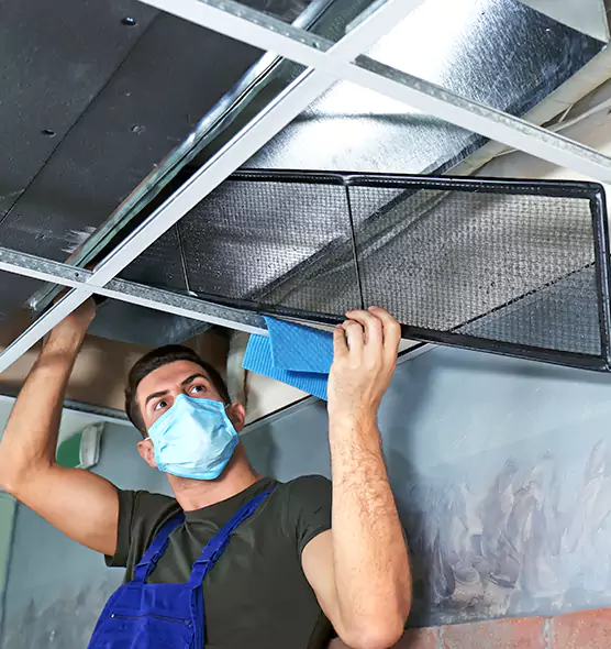 Professional Air Duct Pollen Cleaning in Villa Park, IL