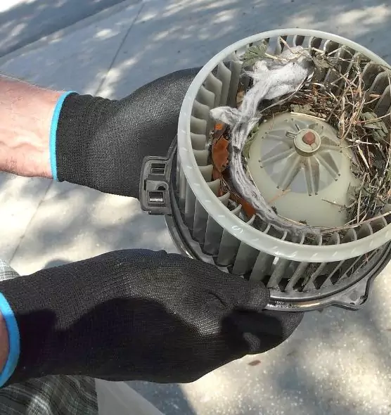 About Air Duct Rat Removal in Villa Park, IL