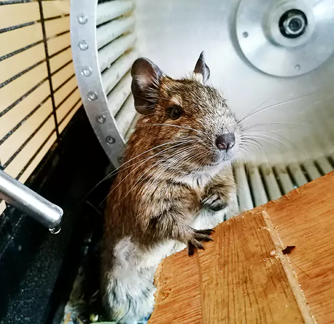 Why Homeowners & Businesses Trust Us Villa Park, IL?