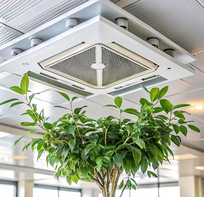 Why Homeowners & Businesses Trust Us in Villa Park, IL?