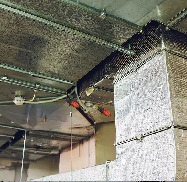 Why Homeowners & Businesses Trust Us Villa Park, IL?